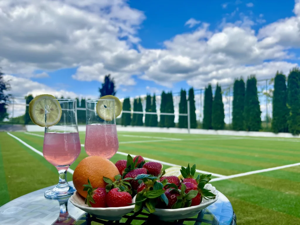 Prywatny kort tenisowy – wielofunkcyjne boisko do tenisa, badmintona, siatkówki i mini futbolu, otoczone zielenią.